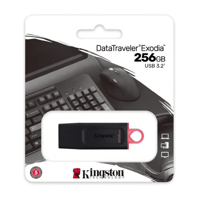 Clé USB Kingston 256GB